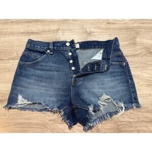 We The Free/Free People Cut-off/Frayed Hem Button Fly Denim Shorts - Size 28